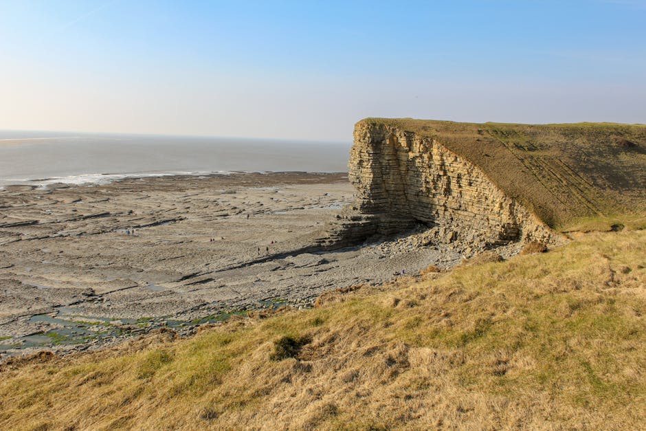 A high, steep limestone cliff with visible stratified rock layers and rugged edges extends into the distance, overlooking a broad, flat expanse of rocky tidal flats and exposed riverbed with scattered stones and patches of wet sand. The cliff is covered with sparse grass and small vegetation on top, with a slightly uneven grassy foreground sloping down towards the shoreline. The scene is illuminated by natural daylight, with clear blue sky above and gentle atmospheric haze in the distance, emphasizing the natural landscape's expansive and unspoiled appearance. The landscape appears remote and untouched, illustrating a natural setting where independent waste handling or on-site clearance might be relevant in areas with limited public rubbish collection, aligning subtly with the context of private waste management services offered by Rubbish Collection Maida Vale.