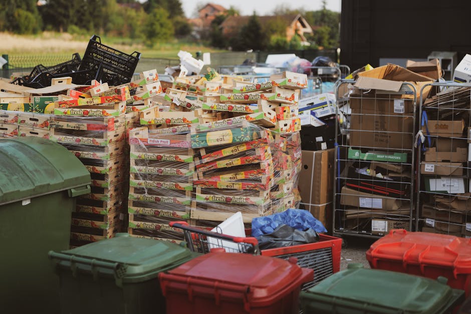 The image shows an outdoor scene with numerous stacks of empty wooden fruit boxes, primarily displaying a red and yellow design with the words 'fresh fruits' printed on the sides. These boxes are arranged in multiple piles on a paved or gravel surface, with some appearing slightly weathered. To the right, there are several metal wire cages filled with cardboard boxes and other miscellaneous packaging materials, some of which are partially open, revealing the contents inside. In the foreground, there are large, closed plastic wheelie bins in green and red, placed next to a red shopping trolley that contains a few scattered items and a blue plastic bag. The background features a rural landscape with trees, a body of water, and a distant brick building, under a bright, clear sky. The scene appears to be part of an urban or semi-rural waste collection or disposal area, potentially associated with private rubbish removal services such as Rubbish Collection Maida Vale, highlighting a typical site for bulk or palletized waste. The outdoor environment is well-lit, casting natural shadows on the objects depicted.