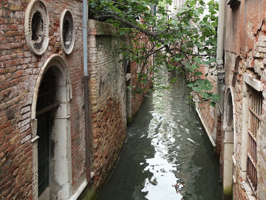 A narrow canal situated between two multi-storey brick buildings in an urban setting, with water reflecting the overcast sky and surrounding structures. The building on the left has a weathered red brick facade with a white, rounded arched window and three circular decorative elements framed in white stone above it. A vertical metal drainpipe runs along this wall. The building on the right also features red brick with visible signs of aging, including sections of exposed, uneven brickwork and a small barred window. Overhanging branches with green leaves extend across the top of the canal, partially obscuring the scene and adding natural contrast to the brick environment. The water appears calm with gentle ripples, indicating a peaceful, enclosed waterway typical of older city areas. The scene evokes a sense of quiet solitude, characteristic of canal-side locations where private waste removal or maintenance might be undertaken, aligning with services offered by the company, Rubbish Collection Maida Vale, that specialises in rubbish and waste clearing solutions in such environments.